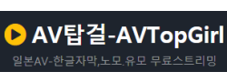 AV탑걸